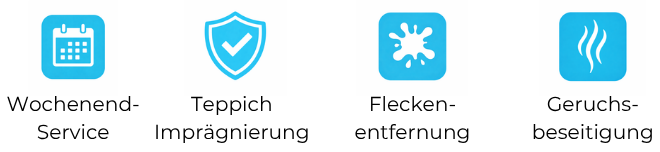 Vorteile Teppichreinigung